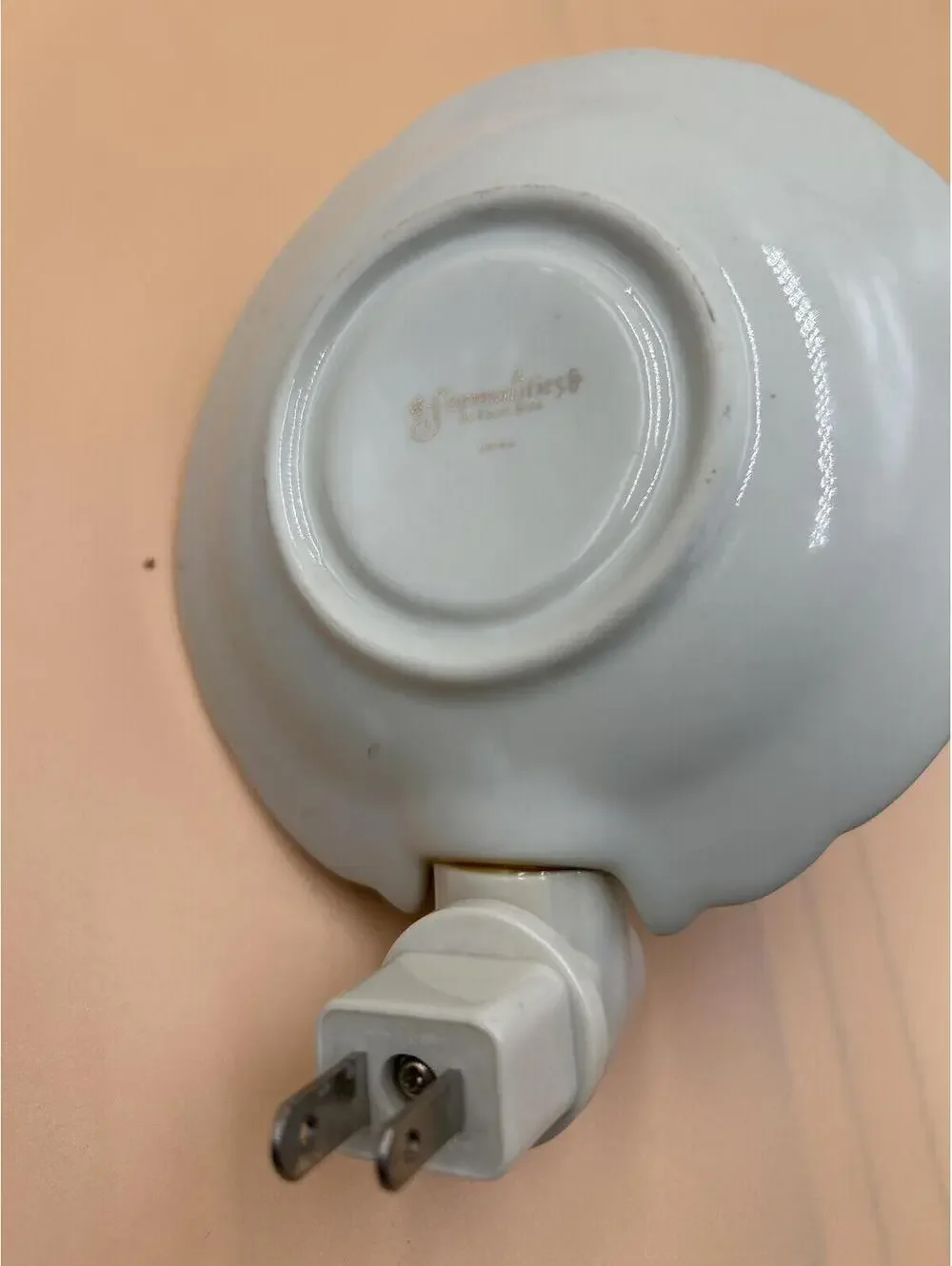 Ceramic Fruit Pattern Plug-In Wall Night Light or Decorative Sconce